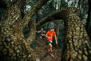 BIB: 
                            <button type="button" onclick="openModal(25668677)" class="btn btn-primary btn-sm float-right btn-popup" data-toggle="modal" data-target=".modal-high-quality">
                        <i class="fas fa-shopping-cart"></i> Add to Cart
                    </button>
                                            <button type="button" onclick="isThisMe(25668677, true)" class="btn btn-success btn-sm float-right btn-popup btn-isme hidden" data-toggle="tooltip" data-placement="bottom" title="นี่คือรูปของคุณใช่ไหม คลิกที่นี่เพื่อเอาเข้าอัลบั้ม">
                        <i class="fas fa-plus"></i> Add to album
                    </button>
                    <button type="button" onclick="isThisMe(25668677, false)" class="btn btn-warning btn-sm float-right btn-popup btn-isnotme hidden">
                        <i class="fas fa-ban"></i> Remove from album
                    </button>